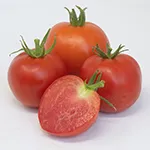 Tomato_Slicer_Legend_UCMG of CCC_sm96