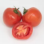 Tomato_Slicer_New Girl_UCMG of CCC_sm96