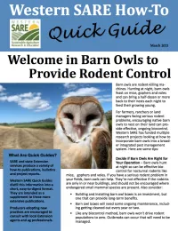 barn owl quick guide