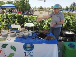 Program Volunteer Tabling a Community Event