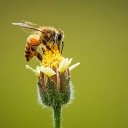 Photo by Ankith Choudhary via Unsplash.com