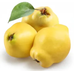 Three yellow quince fruits, one with a green leaf, on a white background.