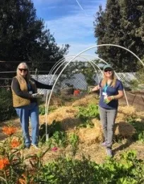 Straw Mulching at Mary Farmar School Garden - photo by Sheila Clyatt