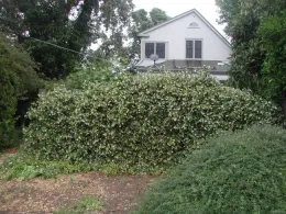 2023 2PlantsoftheSeason02