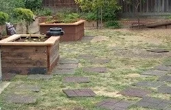 Area to be sheet mulched-grass mowed