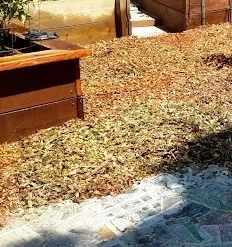 Last layer: wood chips on top of wet cardboard and newspaper layers