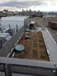 Resized 20230327 172605