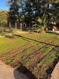 Six weeks after installation