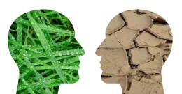 Human heads with grass and cracked soil; Image by Tumisu from Pixabay