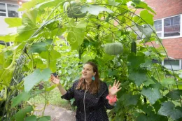 Trellis, Kris Snibbe, Harvard University