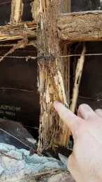 Crumbling wood member, shown as evidence of termite destruction