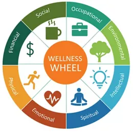 Wellness wheel