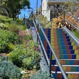 Photo by Susan Patton-Fox