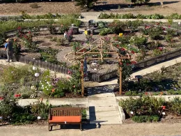 cal vet rose garden