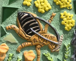 UC Davis student Rolando Montes depicted the Jerusalem cricket, Stenopelmatus fuscus.
