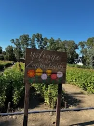 photos by Jennifer Baumbach