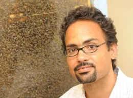 Bee scientist Brian Johnson of UC Davis
