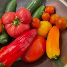 Vegetable Gardening Basics