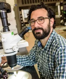 Anthony Vaudo, research entomologist, U.S. Forest Service