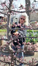 Michelle Ramsey discusses espalier technique at a Bare Root and Espalier Workshop. Michelle Graydon