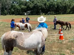 4-H Horse Camp