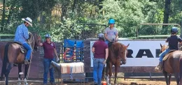 4-H Horse Camp