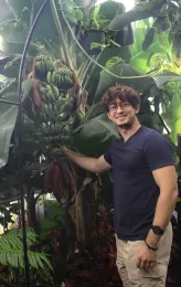 CSUC greenhouse manager Shaine Hill displays the flower and fruit of a banana plant. Michelle Graydon