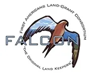 FALCON logo
