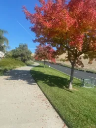 photo by Mike Gunther