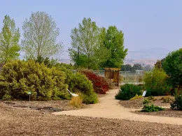 A native garden with a winding pathway bordered by various shrubs and trees, featuring a wooden pergola and a white bird in the foreground against a distant hillside.