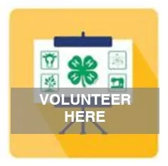 Presentation Volunteer