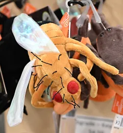 A fruit fly awaits ownership in the Bohart Museum of Entomology. (Photo by Kathy Keatley Garvey)