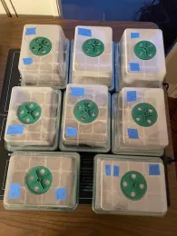 Container covers provide humidity.