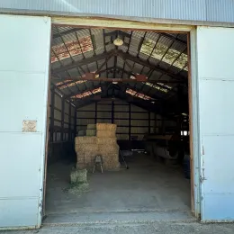 Hay