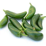 Pepper_Hot_Jalapeno, Jalafuego_UCMG of CCC-150