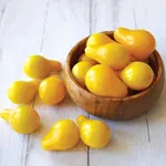 Tomato_Cherry_Yellow Pear_Territorial Seed Company-150