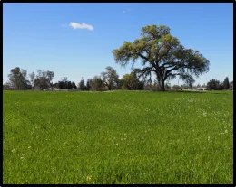 rangelandandpasturemanangement_icon