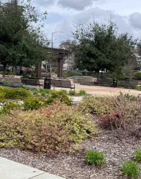 View of Enloe garden in February 2024. J.C. Lawrence