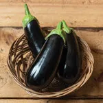Eggplant_Nigral_Johnny's Selected Seeds, johnnyseeds.com-150