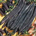 Bean_Pole_Blauhilde_vermontbean.com-150