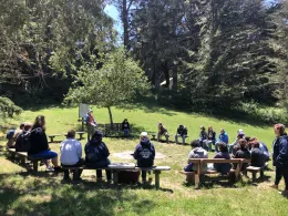 Starting off Plant ID at the Campfire