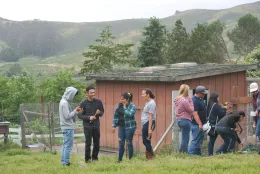 Service project for Elkus Ranch