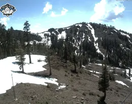 Donner Summit at 7000 feet on June 24, 2023. (Image from Art Shapiro's slide show)