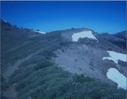 Ridgetop between Castle and Basin Peaks at 9000 feet. (Image from Art Shapiro's slide show)