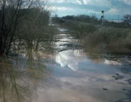 Art Shapiro's West Sacramento site flooded. (Photo from Shapiro's slide show)
