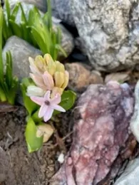 photos by Michelle Krespi