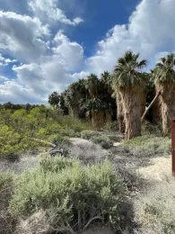 Thousand Oaks Preserve