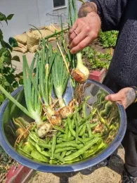A bowl of produce from the garden