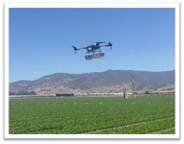In-field drone release of green lacewing eggs and predatory mites