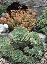 Photo by Cynthia Nations